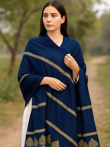 Stuff Pashmina Shawl Elegant And Beautiful Banarsi Shawl With Sequence And Velvet Touch